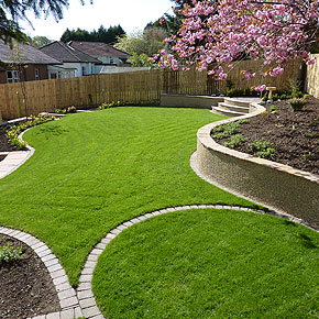 Suburban Back Garden
